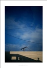 dailyPhoto5