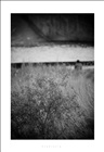 dailyPhoto31