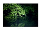 dailyPhoto38
