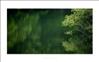 dailyPhoto14