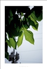 dailyPhoto30