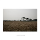 dailyPhoto8