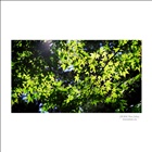 dailyPhoto14