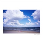 dailyPhoto4