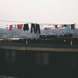 dailyPhoto1