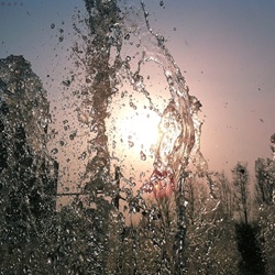dailyPhoto13