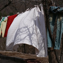 dailyPhoto31