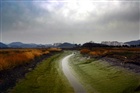 dailyPhoto14