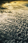 dailyPhoto9