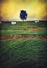 dailyPhoto37