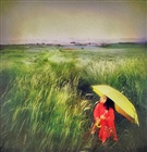 dailyPhoto38