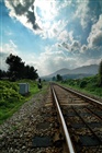 dailyPhoto29