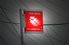 dailyPhoto6