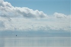 dailyPhoto19