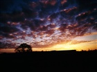 dailyPhoto2