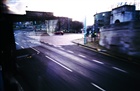 dailyPhoto17