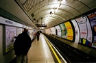 dailyPhoto15