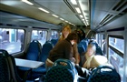 dailyPhoto8