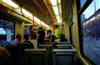 dailyPhoto8