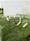 dailyPhoto34