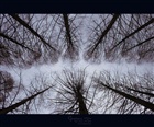 dailyPhoto5