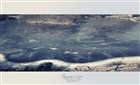 dailyPhoto3