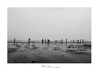 dailyPhoto14