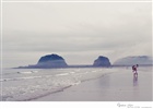 dailyPhoto20