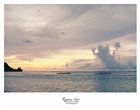 dailyPhoto15