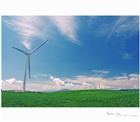 dailyPhoto9