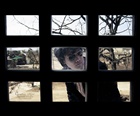 dailyPhoto7