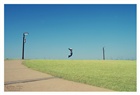 dailyPhoto40