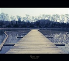 dailyPhoto28