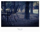 dailyPhoto16