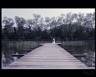 dailyPhoto38