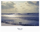 dailyPhoto35