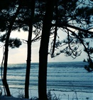 dailyPhoto6