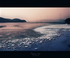 dailyPhoto25