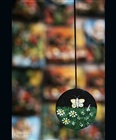 dailyPhoto7