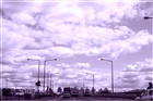 dailyPhoto36