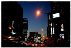 dailyPhoto7