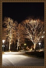 dailyPhoto33