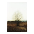 dailyPhoto34