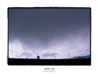 dailyPhoto35