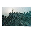 dailyPhoto35