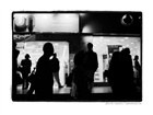dailyPhoto35