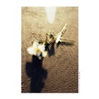 dailyPhoto32