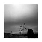dailyPhoto4