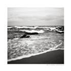 dailyPhoto7