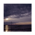 dailyPhoto8